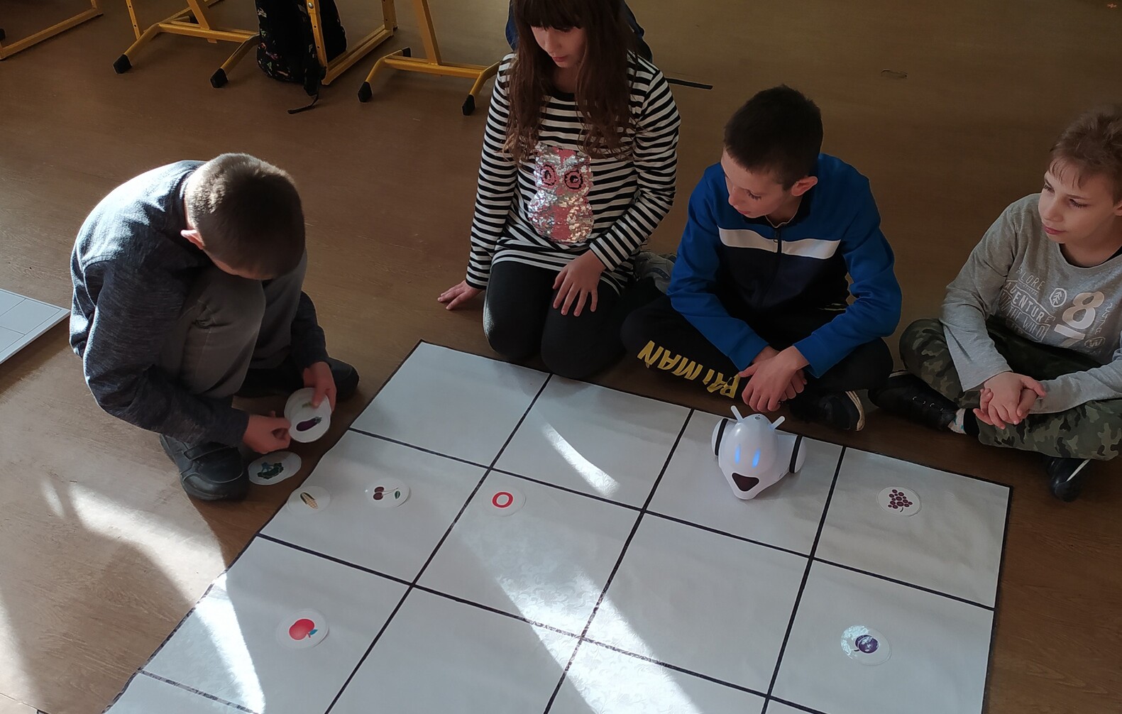 Og&oacute;lnopolski Program "Uczymy dzieci programować"